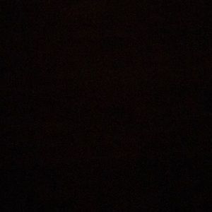 Meet your Posher, Millie